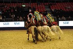Quadrille - 00302